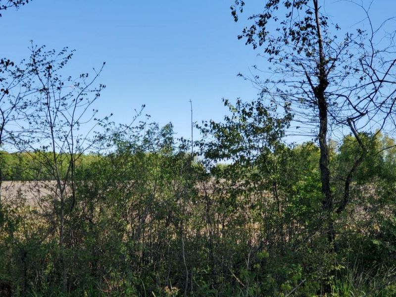 0 Woodtown Road, Unit Tract 7, Galena, OH 43021 Photo 4