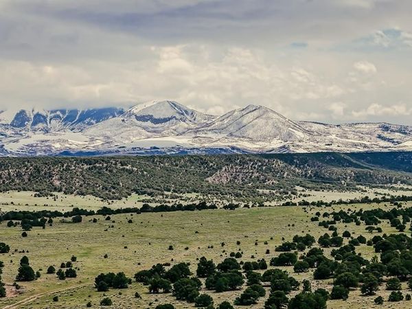 Lot 16 County Rd 540, Gardner, CO 81040