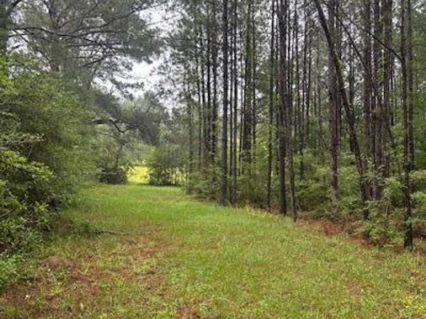 00 Forbes, Sandy Hook, MS 39478