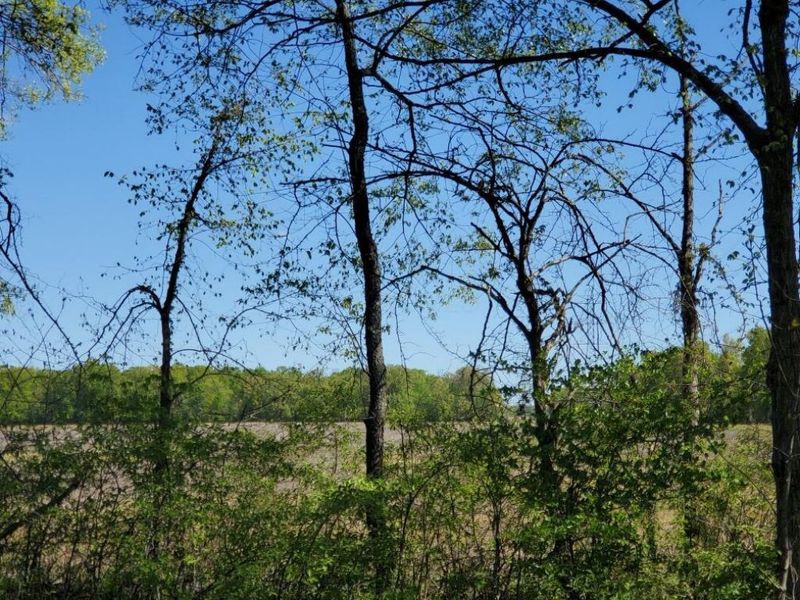 0 Woodtown Road, Unit Tract 6, Galena, OH 43021 Photo 4