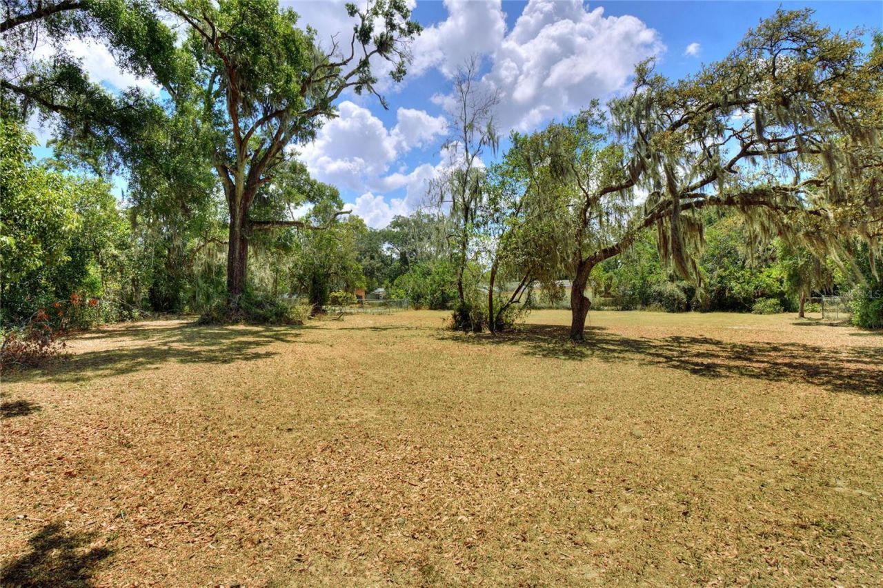 1205 Neville Avenue, Lakeland, FL 33805 Photo