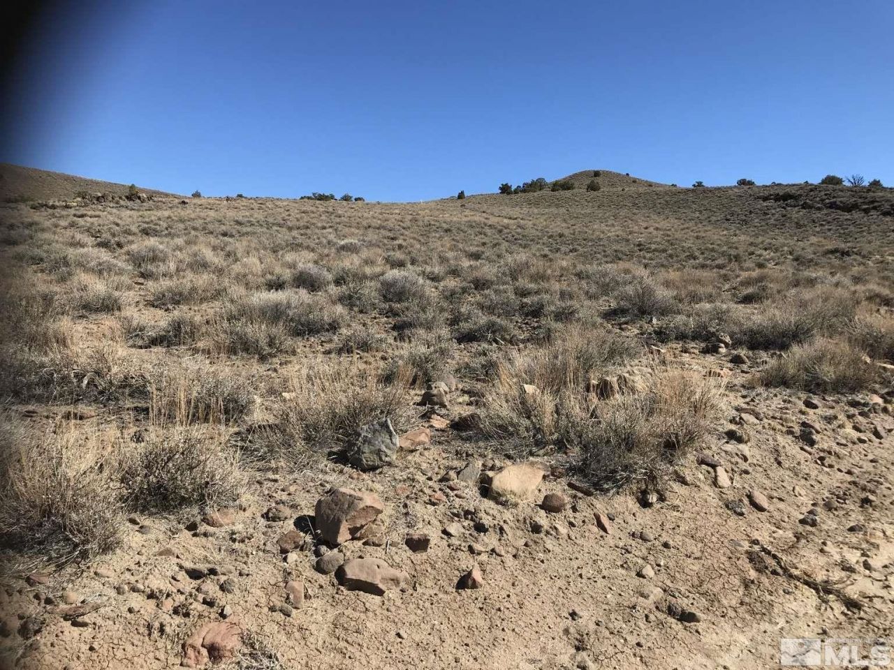 0 Detar Place, Sparks, NV 89441 Photo