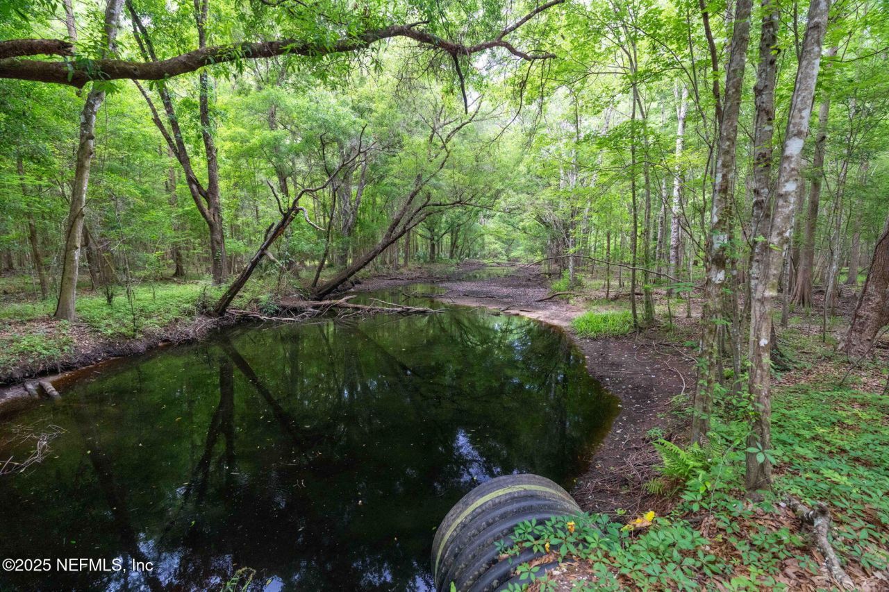 8549 Acree Road, Jacksonville, FL 32219 Photo