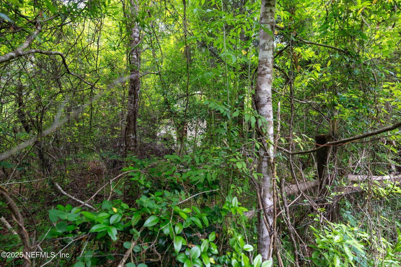 8549 Acree Road, Jacksonville, FL 32219 Photo