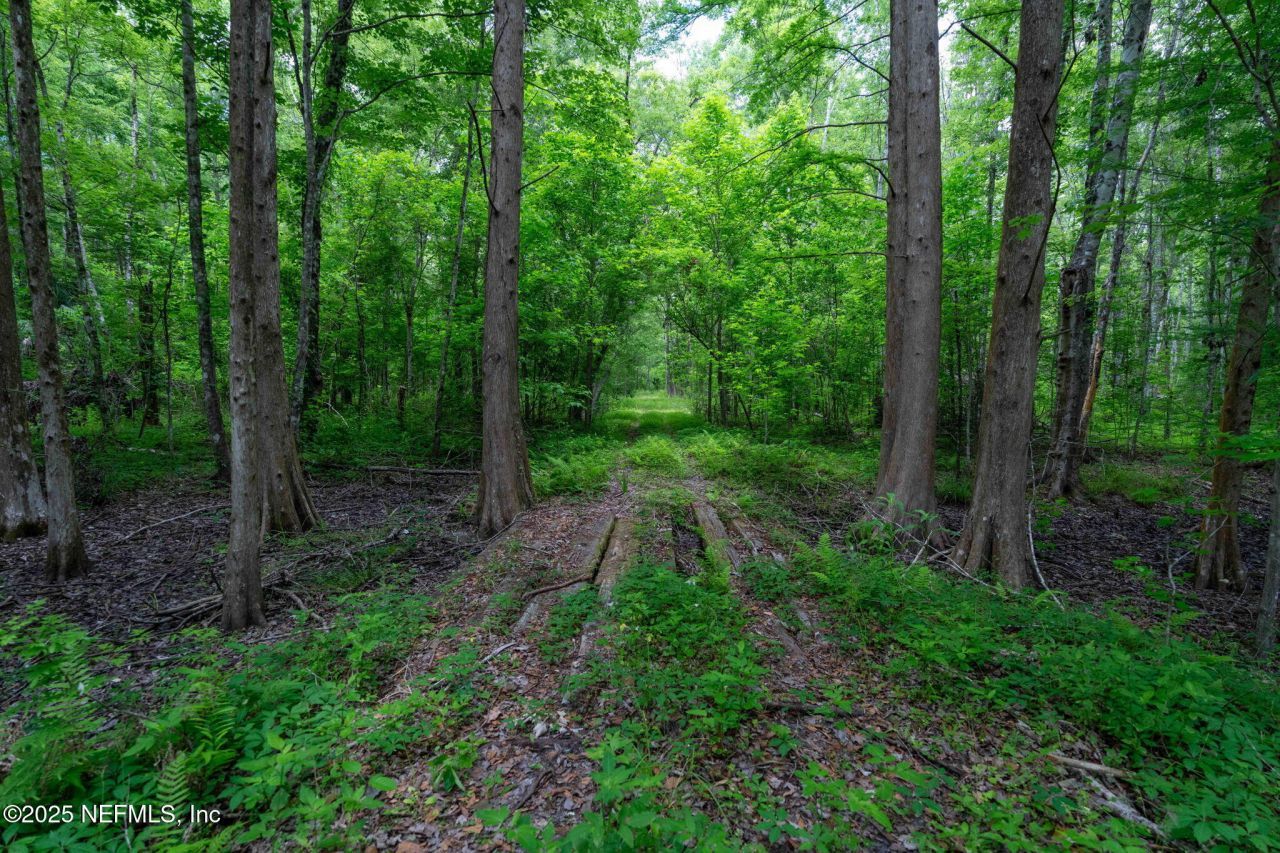 8549 Acree Road, Jacksonville, FL 32219 Photo