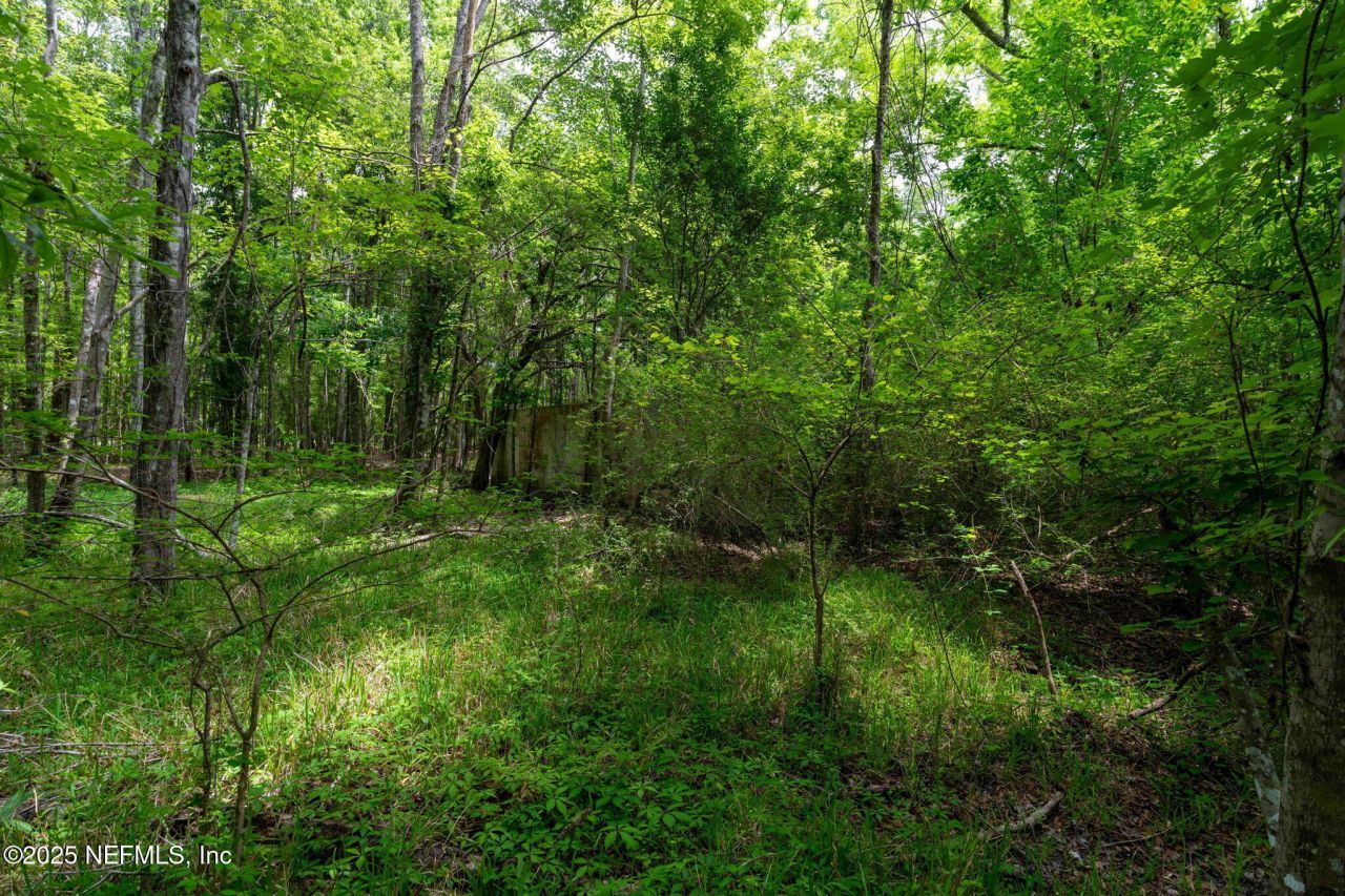 8549 Acree Road, Jacksonville, FL 32219 Photo