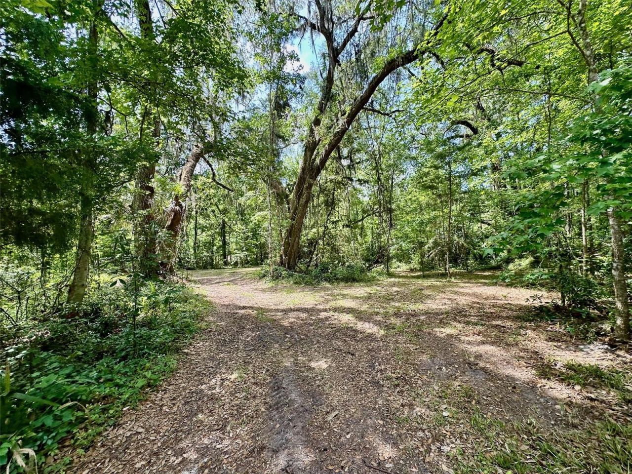 12100 NW Us Highway 441, Gainesville, FL 32653 Photo