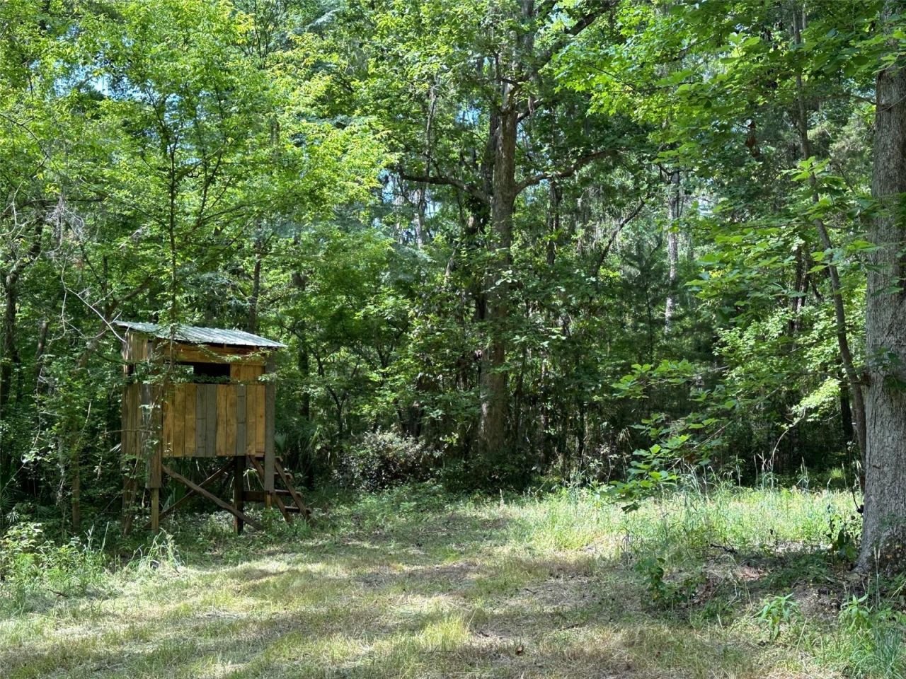 12100 NW Us Highway 441, Gainesville, FL 32653 Photo