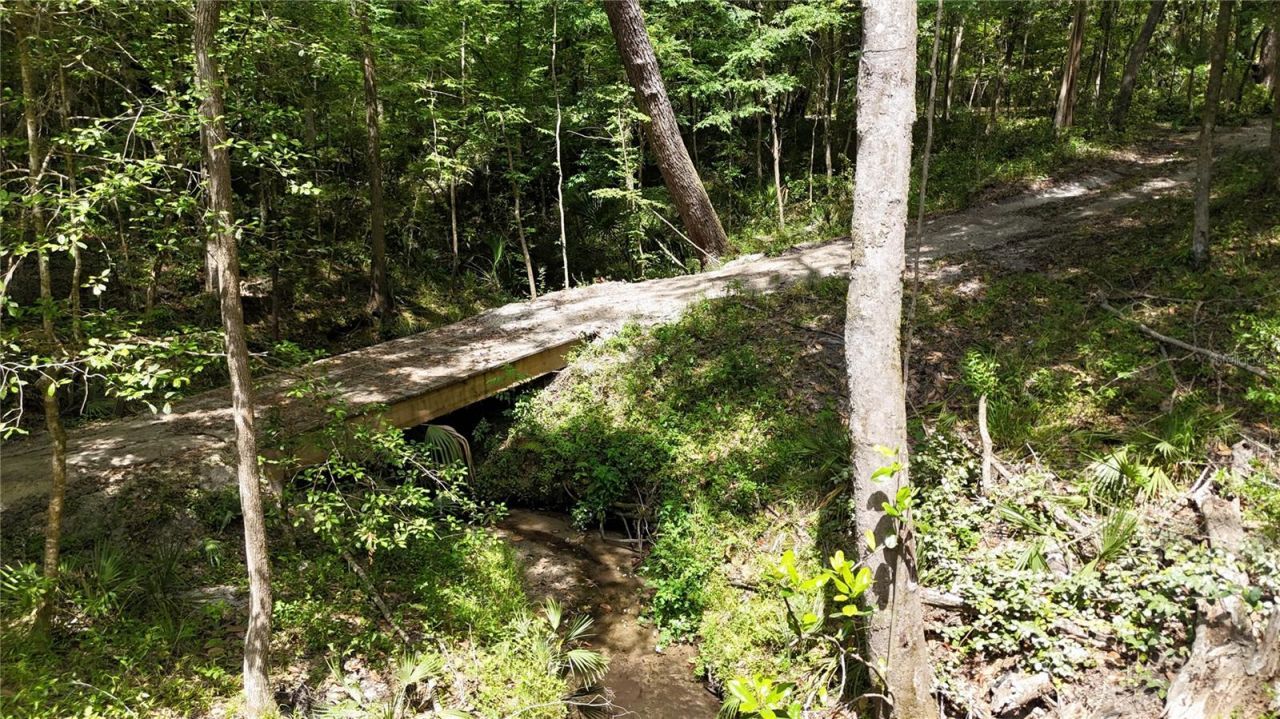 12100 NW Us Highway 441, Gainesville, FL 32653 Photo