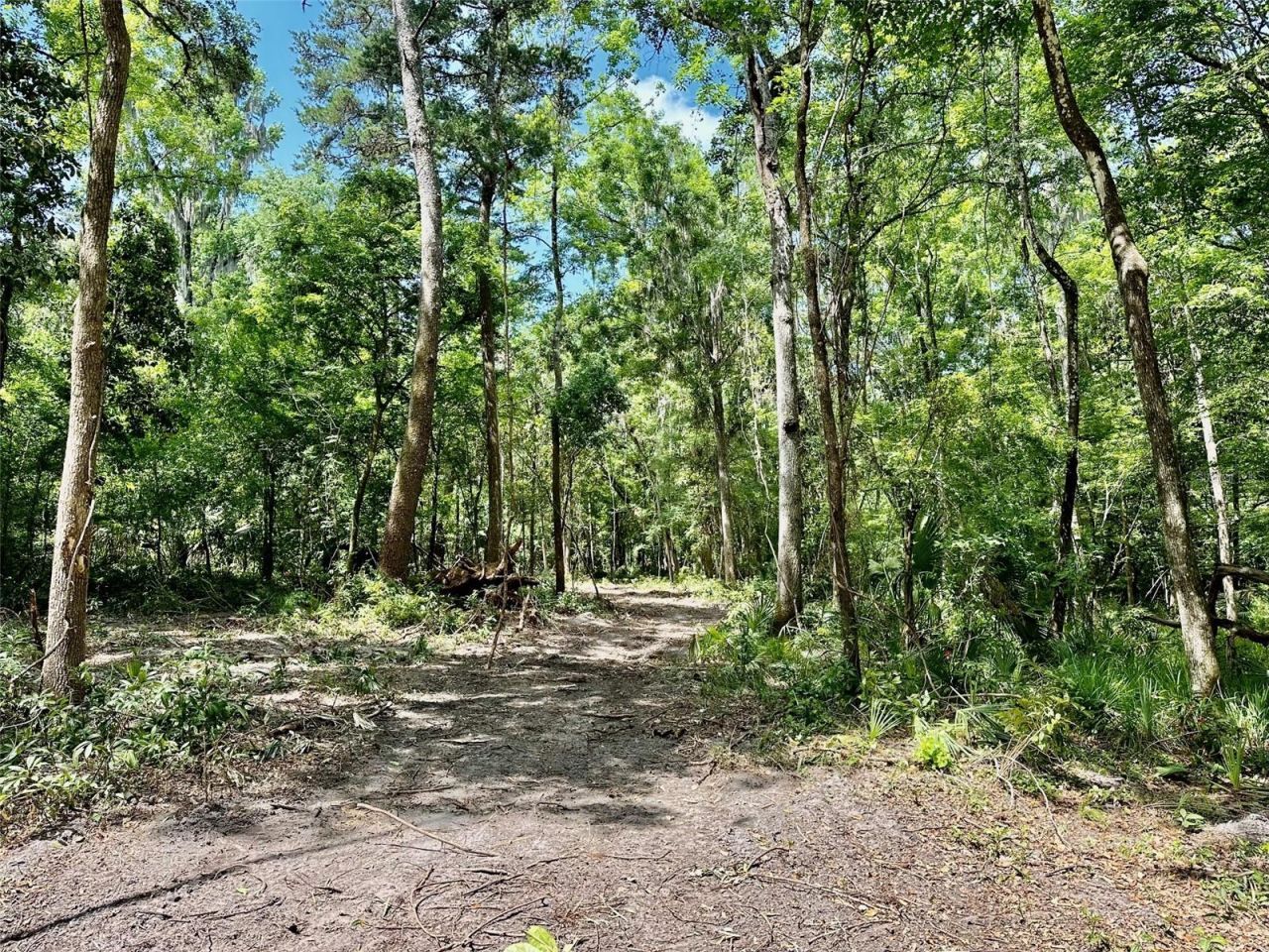 12100 NW Us Highway 441, Gainesville, FL 32653 Photo