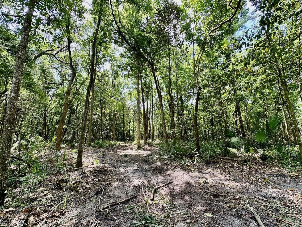 12100 NW Us Highway 441, Gainesville, FL 32653 Photo