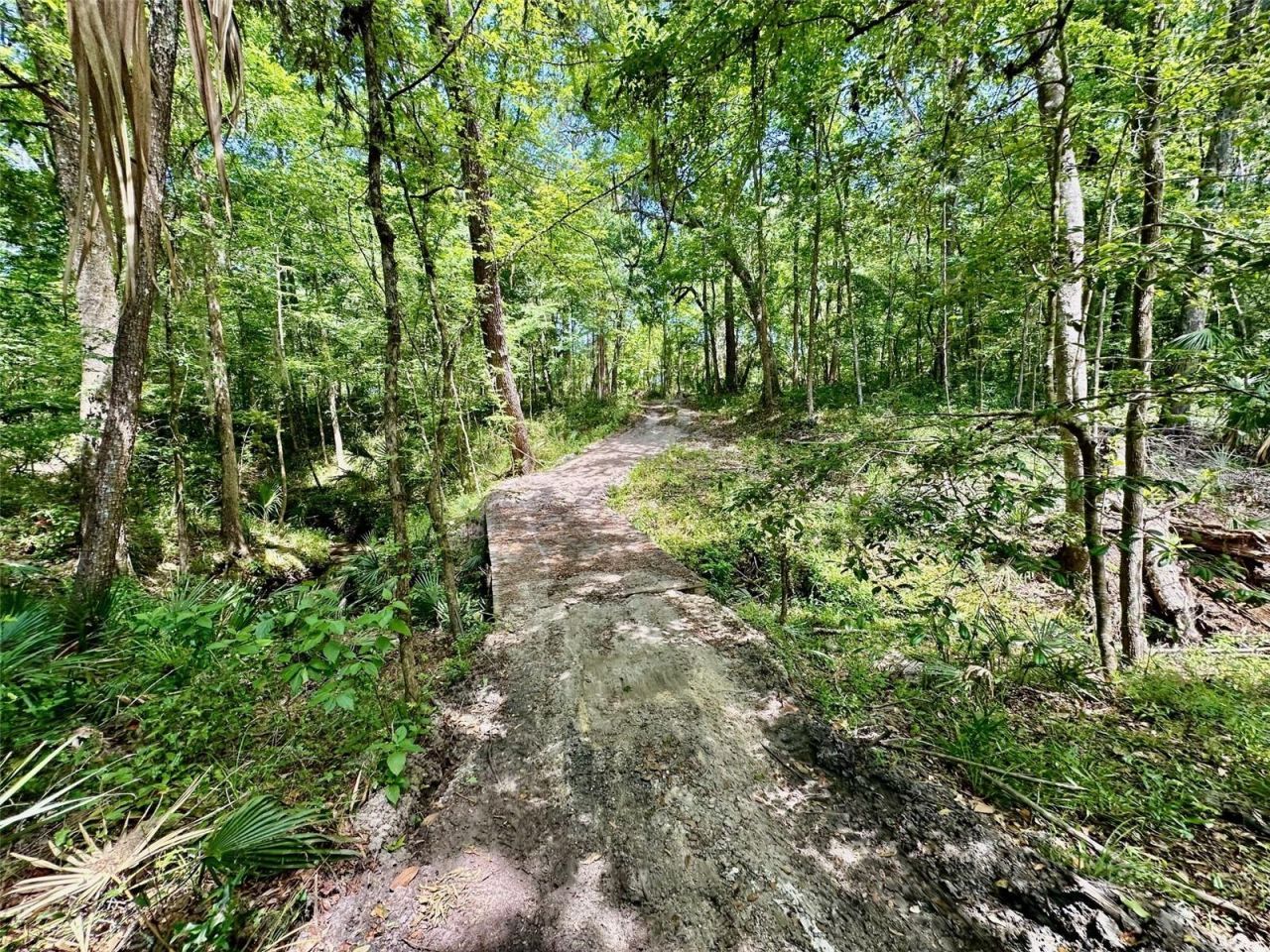 12100 NW Us Highway 441, Gainesville, FL 32653 Photo