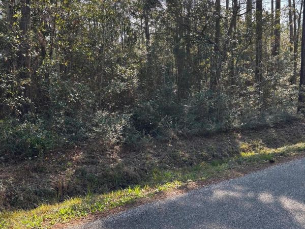 Audubon Lane, Pass Christian, MS 39571