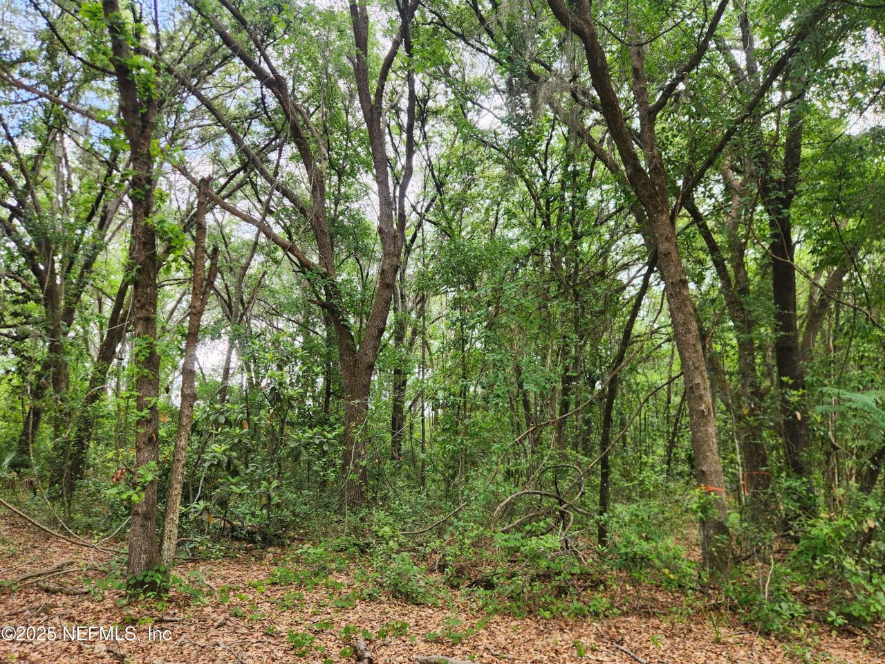 552138 Us Highway 1, Hilliard, FL 32046 Photo