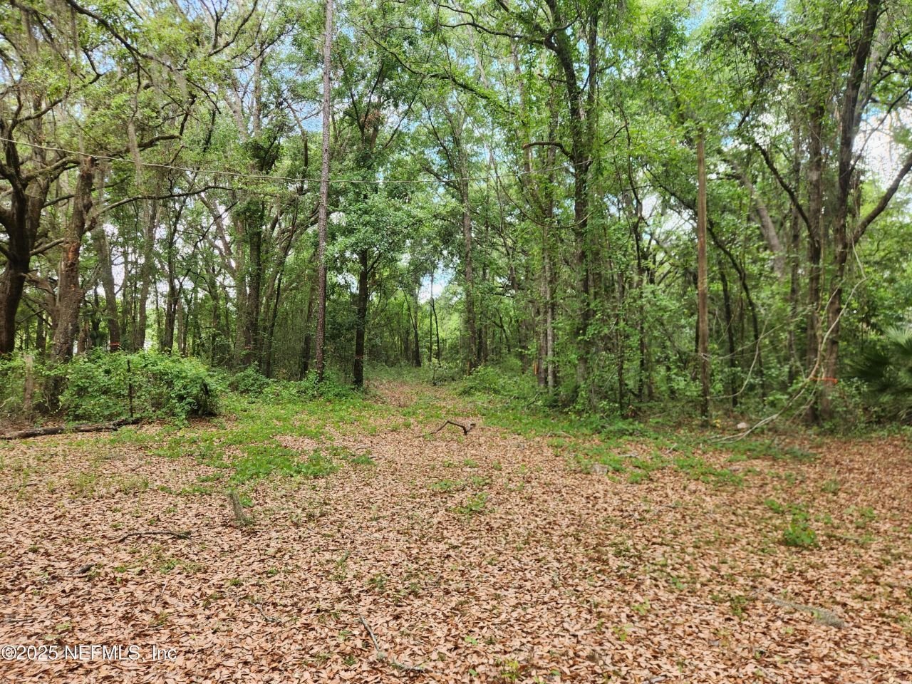 552138 Us Highway 1, Hilliard, FL 32046 Photo