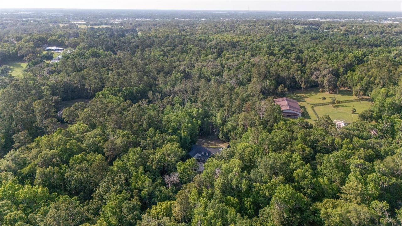 1251 SW 43rd Place, Ocala, FL 34471 Photo