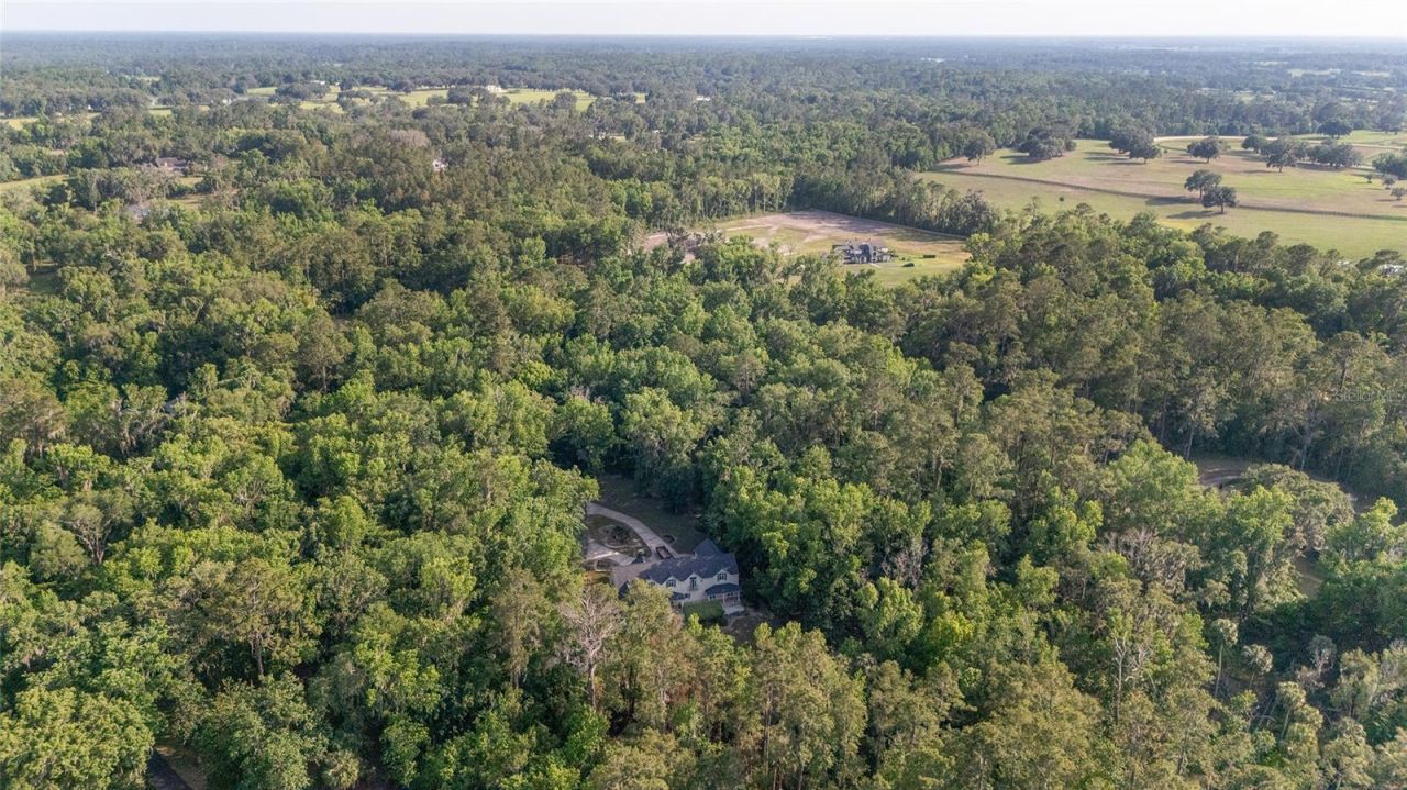 1251 SW 43rd Place, Ocala, FL 34471 Photo