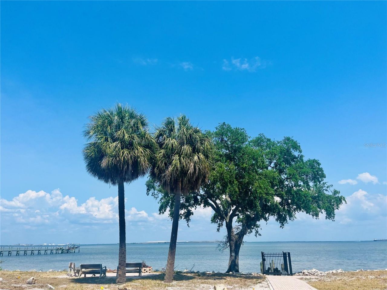 2802 Northpointe Lane, Tampa, FL 33611 Photo