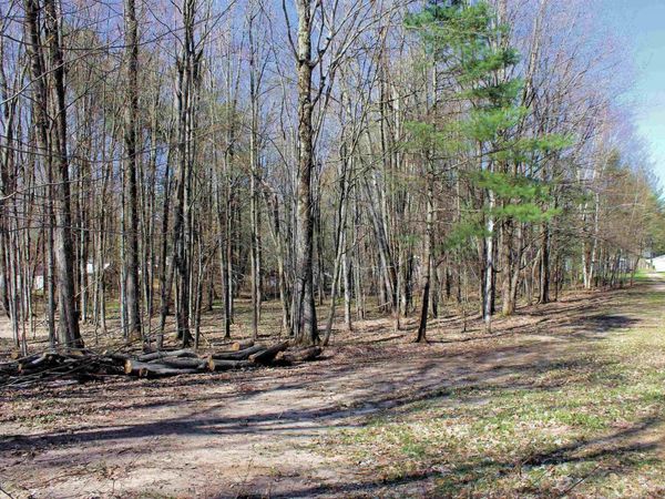 Chwastek Road NE, Kalkaska, MI 49646