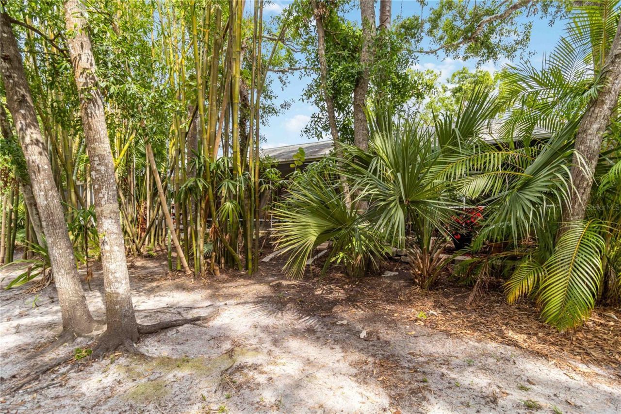 642 N Jefferson Avenue, Unit 13, Sarasota, FL 34237 Photo