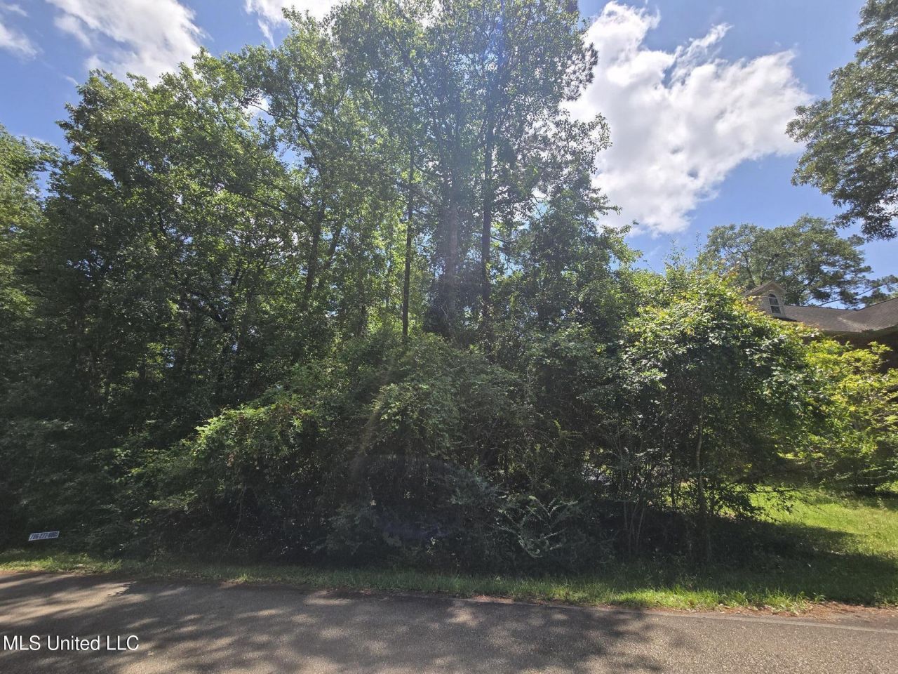 1403 E Lakeshore Drive, Carriere, MS 39426 Main Photo