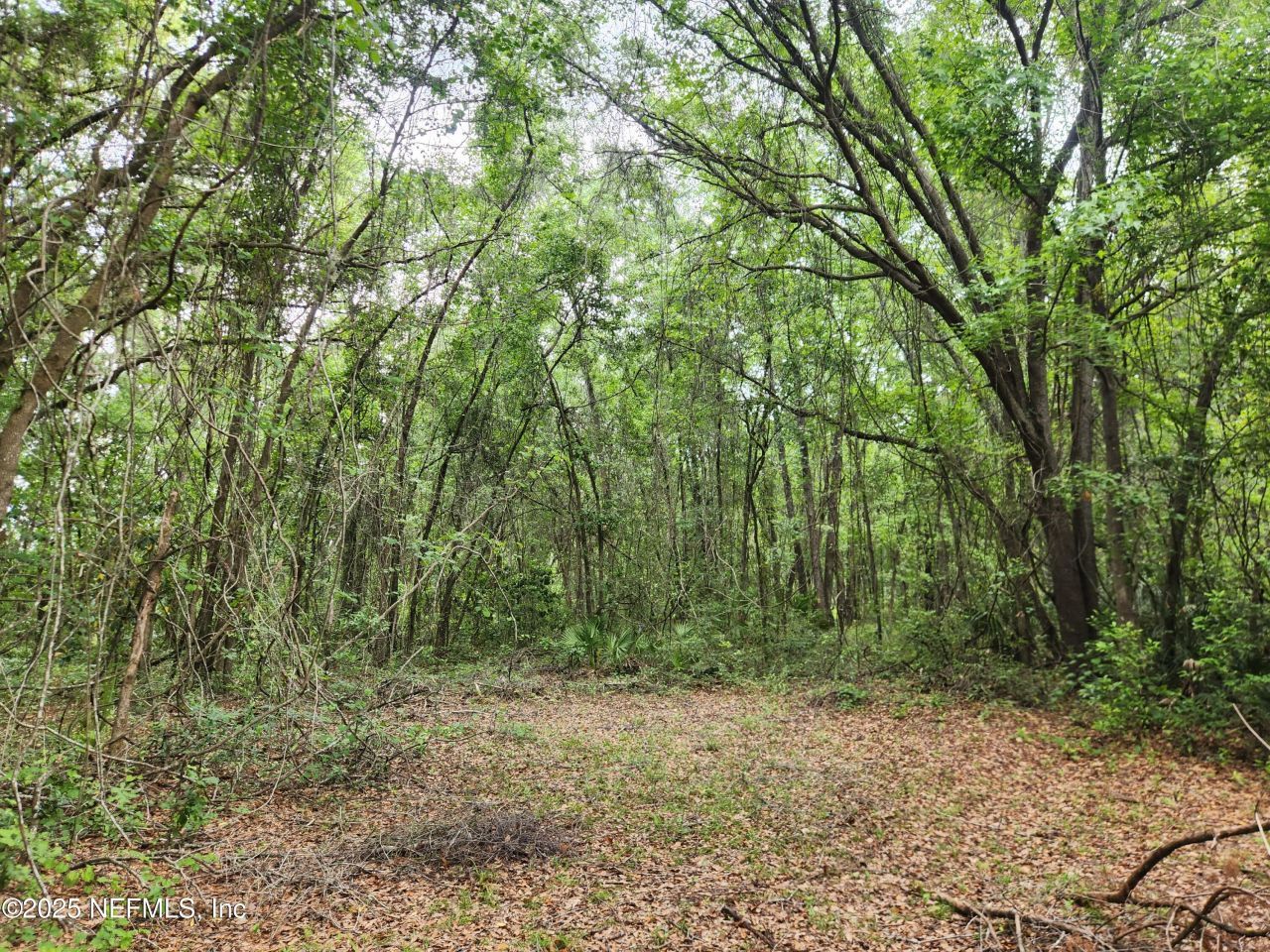 552146 Us Highway 1, Hilliard, FL 32046 Photo