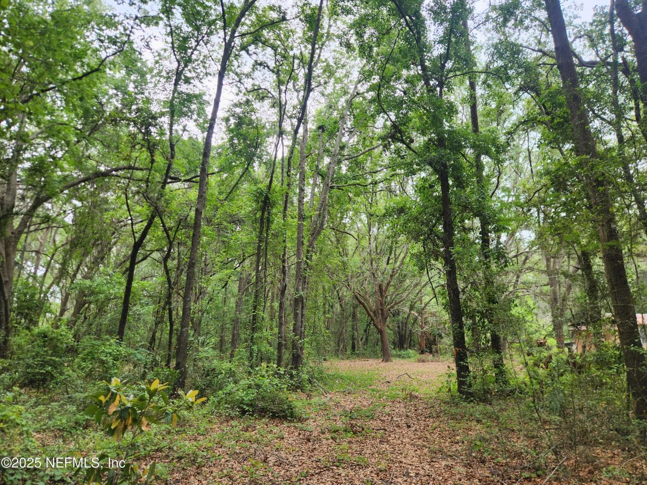 552146 Us Highway 1, Hilliard, FL 32046 Photo