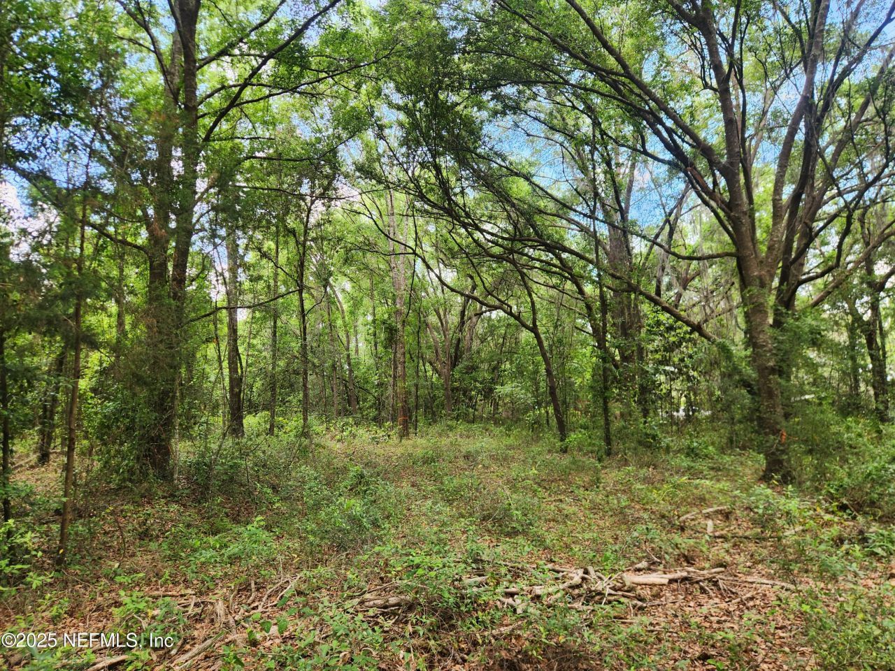 552146 Us Highway 1, Hilliard, FL 32046 Photo