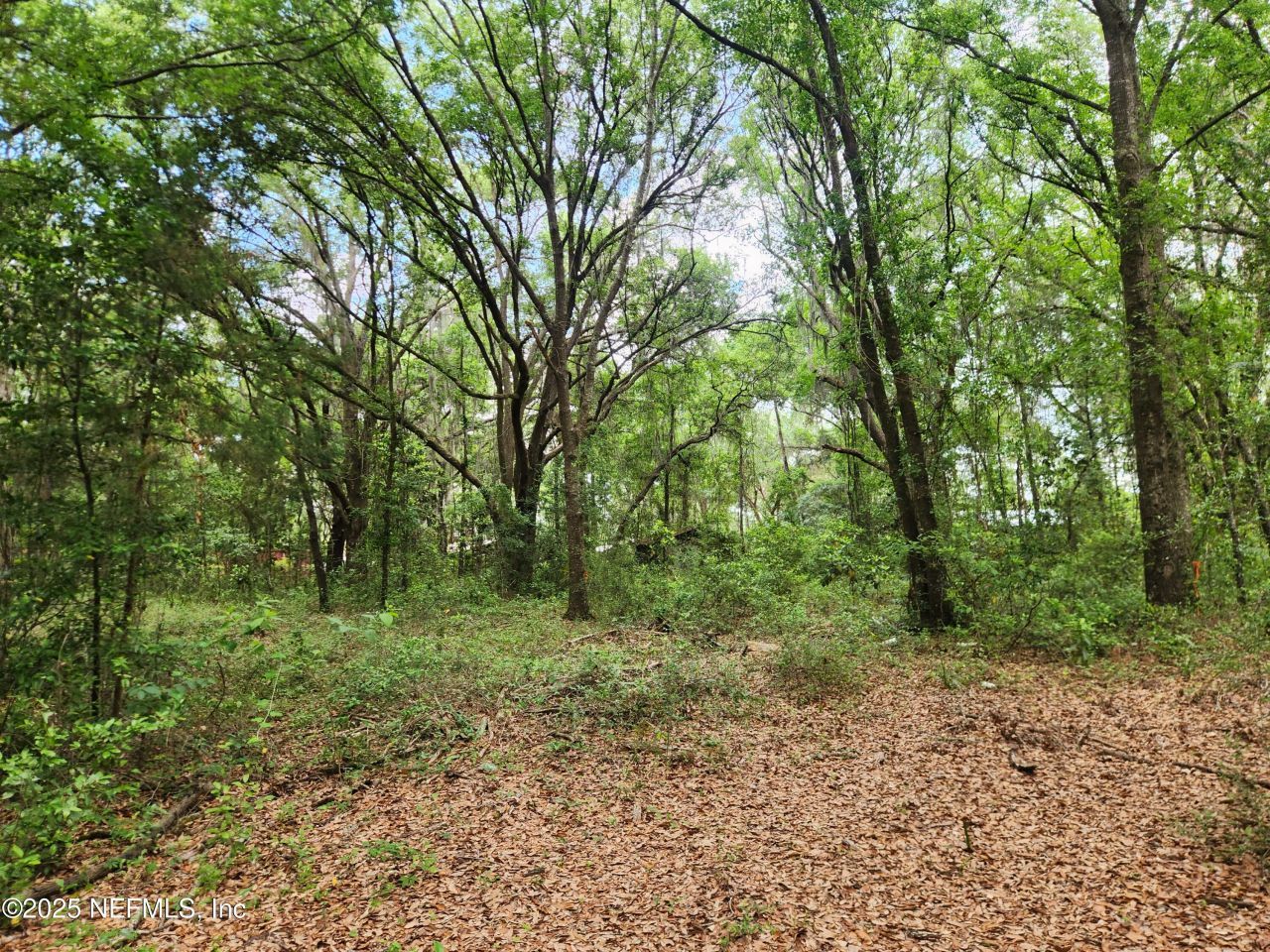 552146 Us Highway 1, Hilliard, FL 32046 Photo