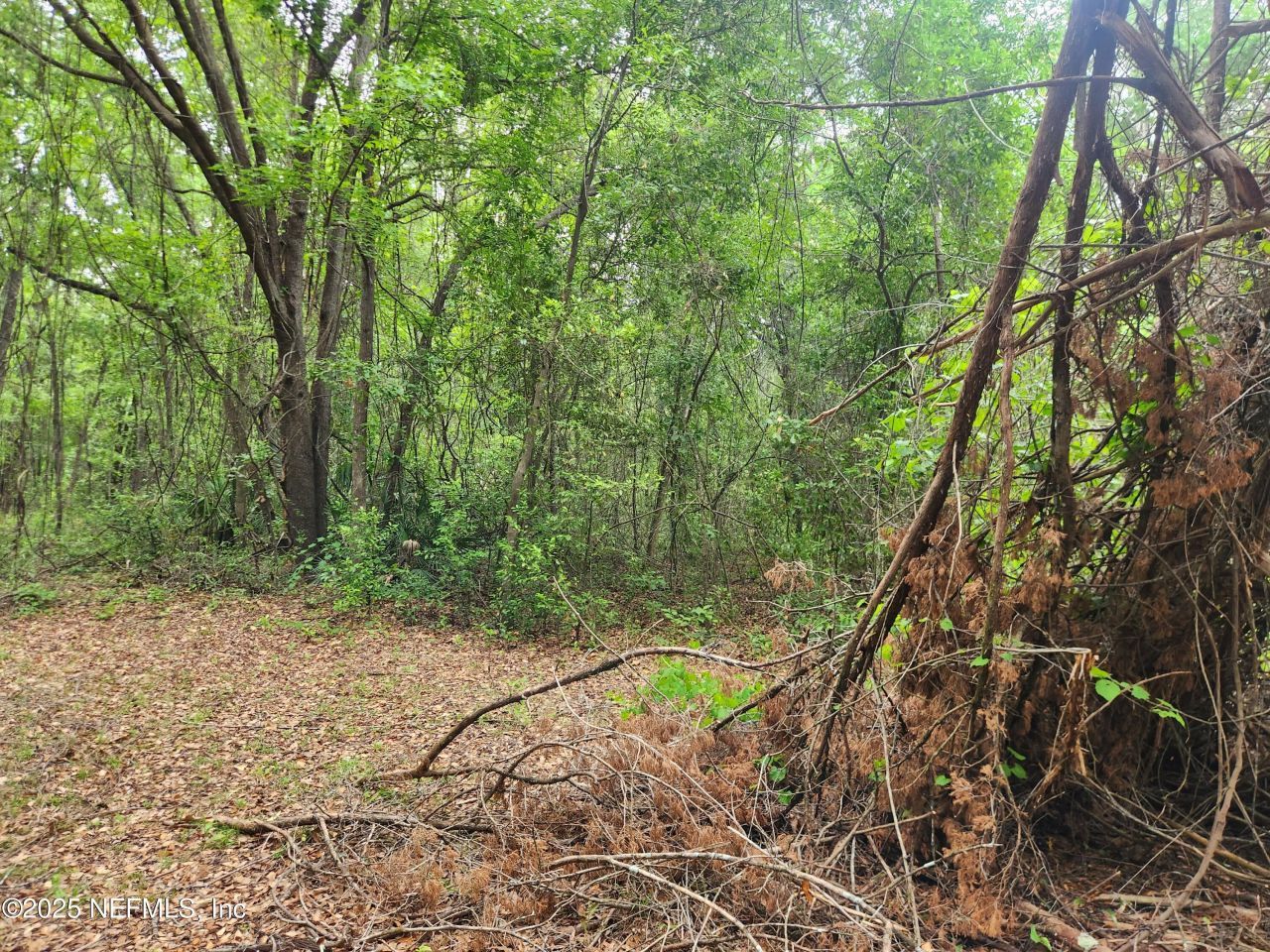 552146 Us Highway 1, Hilliard, FL 32046 Photo