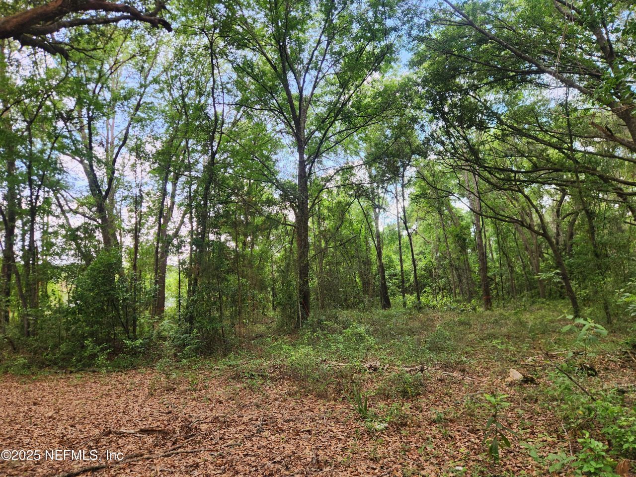 552146 Us Highway 1, Hilliard, FL 32046 Photo