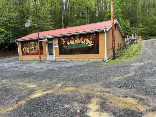 3677 W Midland Trl, Charmco, WV 25958