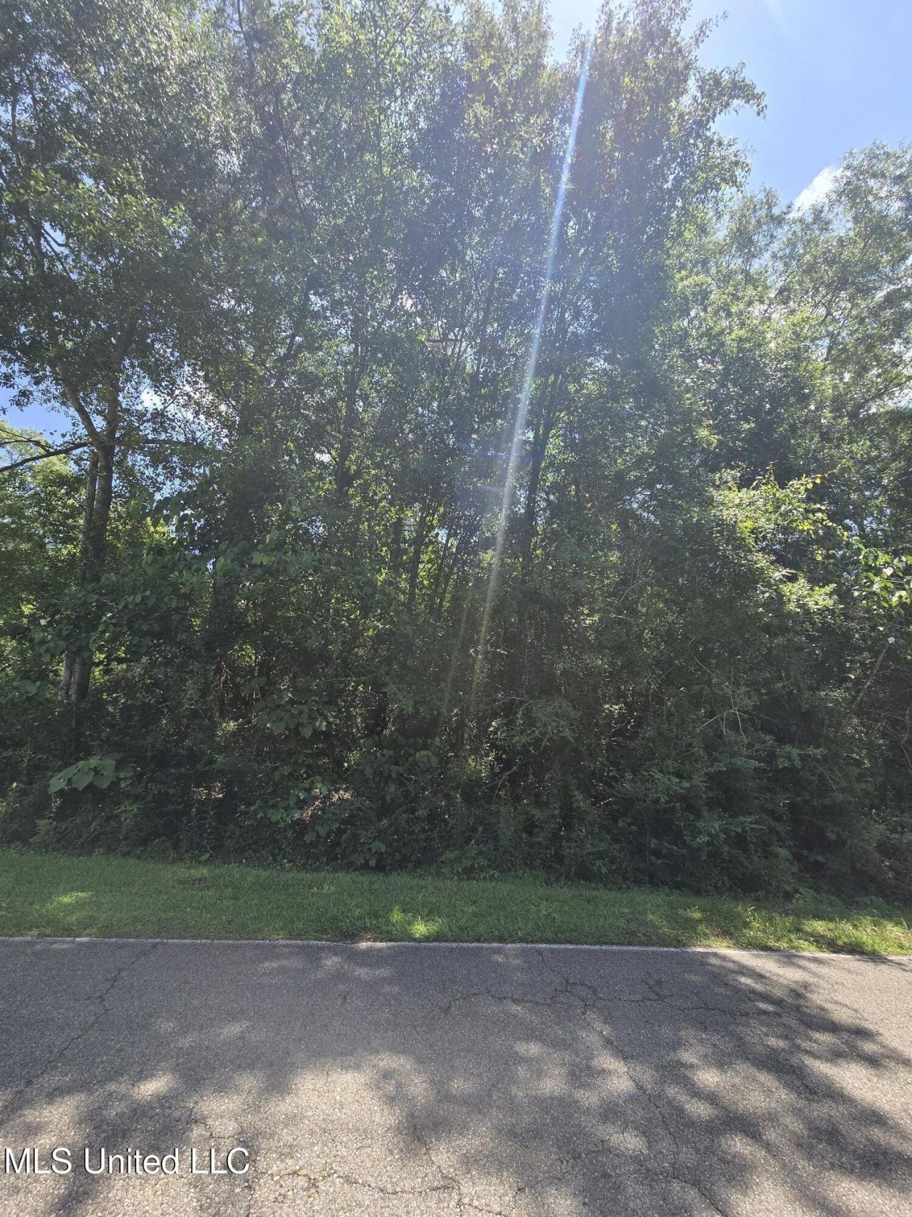 227 E Sunnybrook Road, Carriere, MS 39426 Main Photo