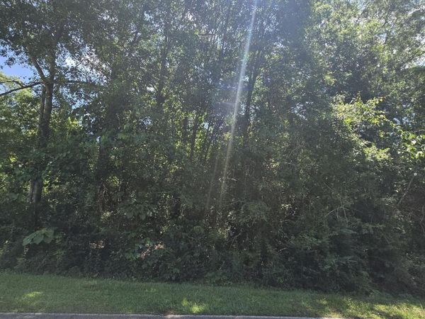 227 E Sunnybrook Road, Carriere, MS 39426