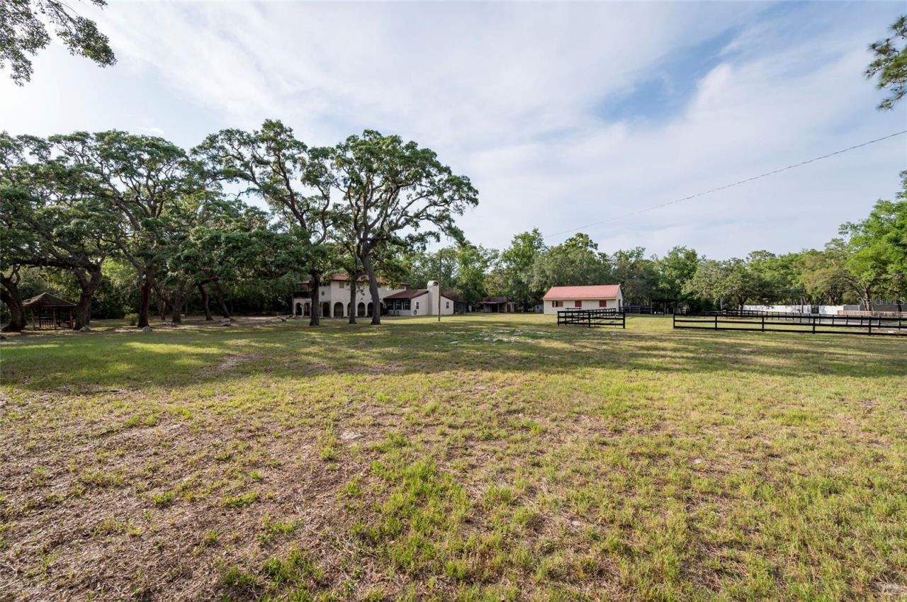 12311 Oakwood Drive, Hudson, FL 34669 Photo