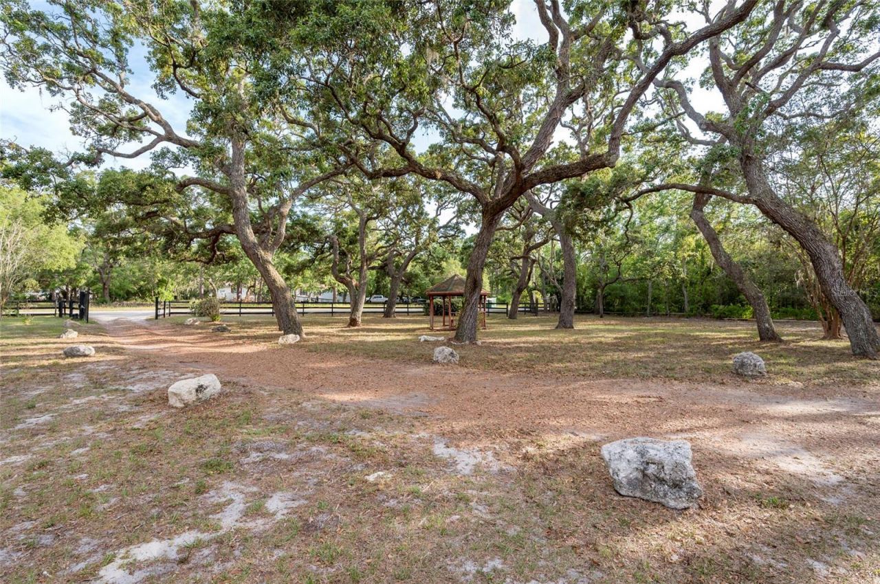 12311 Oakwood Drive, Hudson, FL 34669 Photo