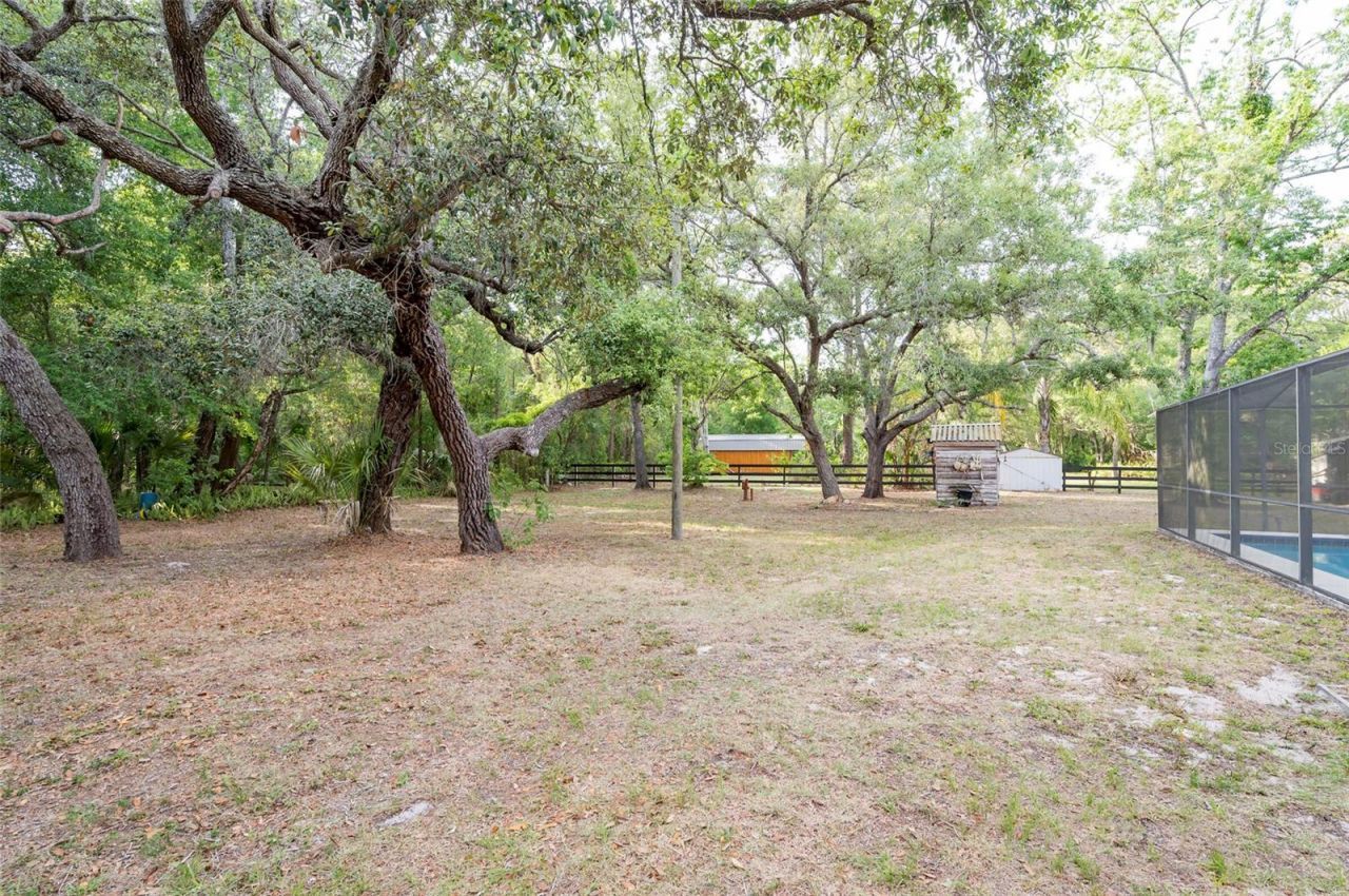 12311 Oakwood Drive, Hudson, FL 34669 Photo