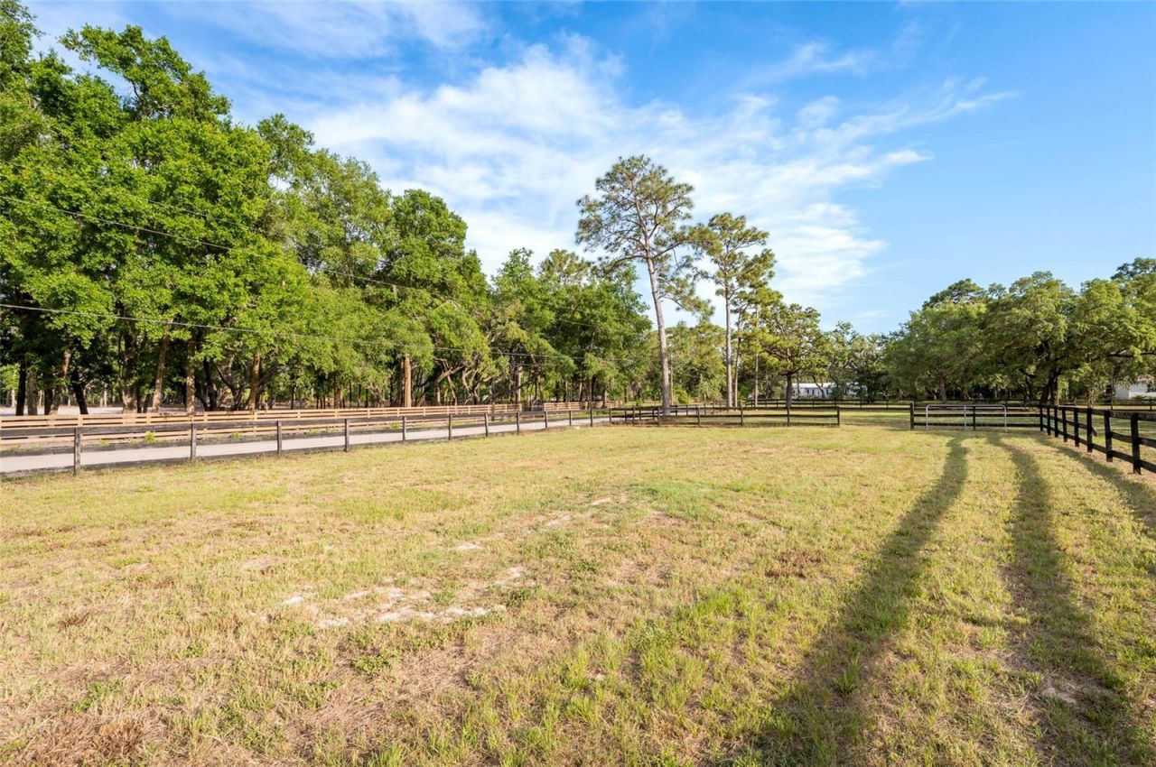 12311 Oakwood Drive, Hudson, FL 34669 Photo