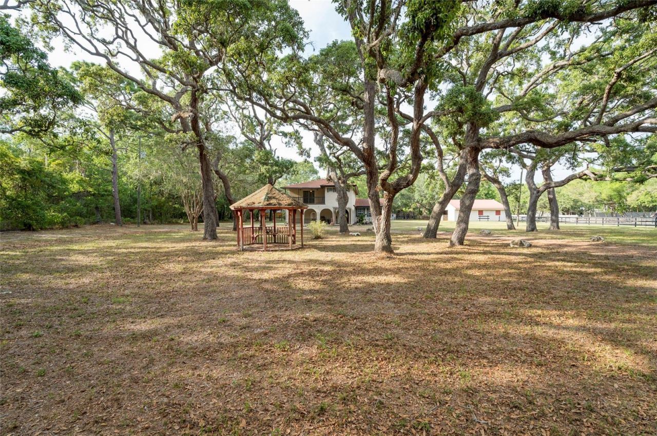 12311 Oakwood Drive, Hudson, FL 34669 Photo