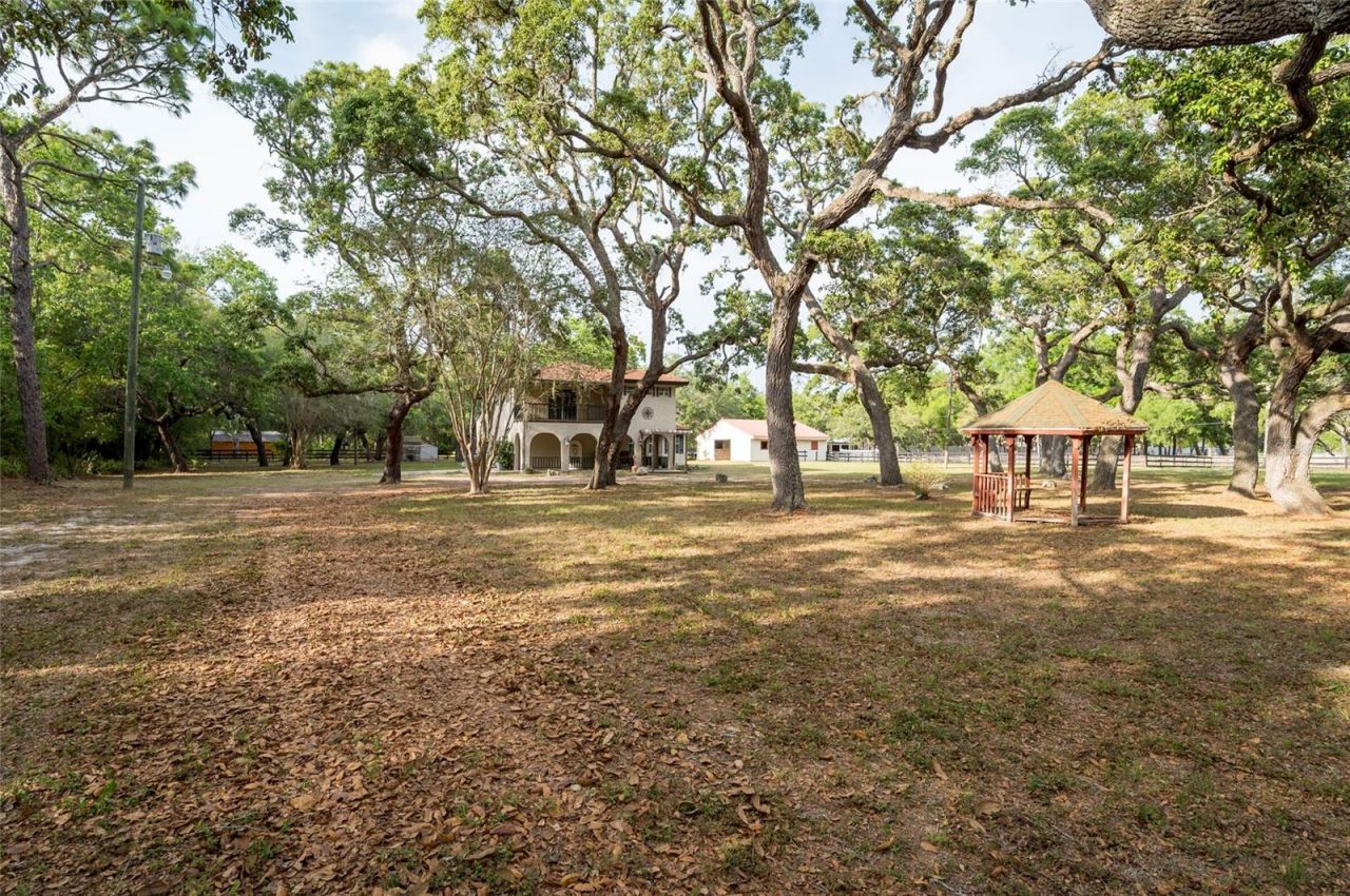 12311 Oakwood Drive, Hudson, FL 34669 Photo