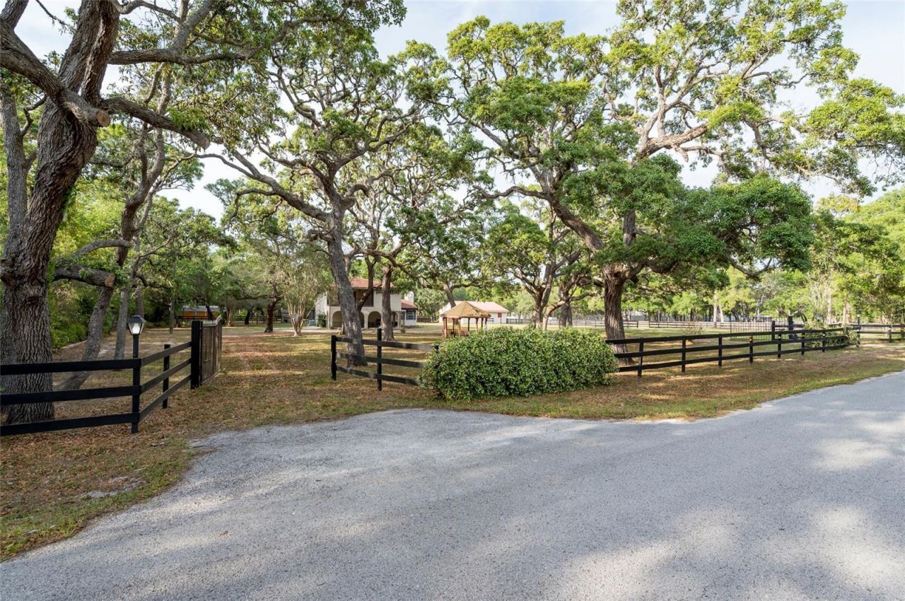 12311 Oakwood Drive, Hudson, FL 34669 Photo