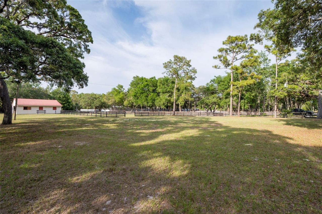 12311 Oakwood Drive, Hudson, FL 34669 Photo