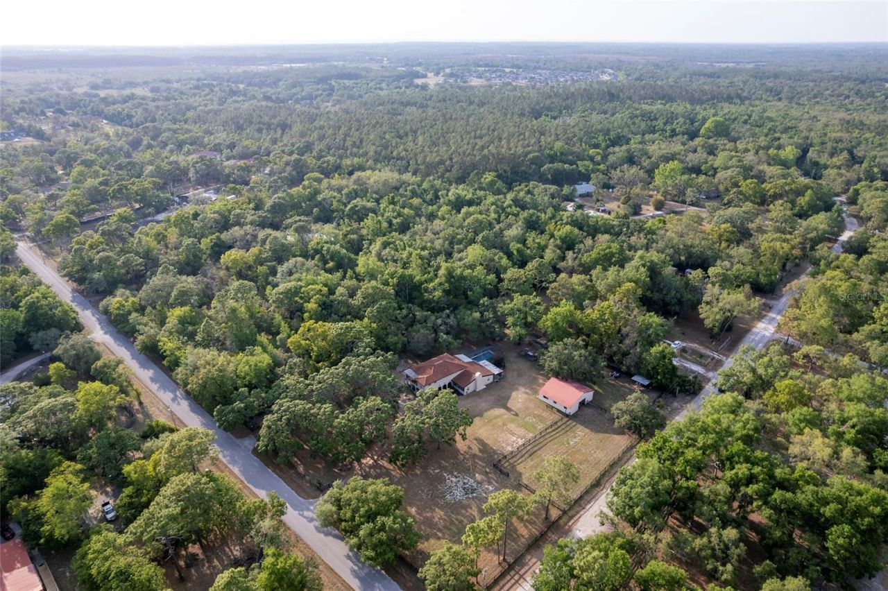 12311 Oakwood Drive, Hudson, FL 34669 Photo