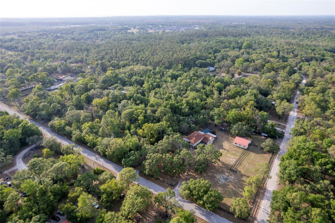 12311 Oakwood Drive, Hudson, FL 34669 Photo