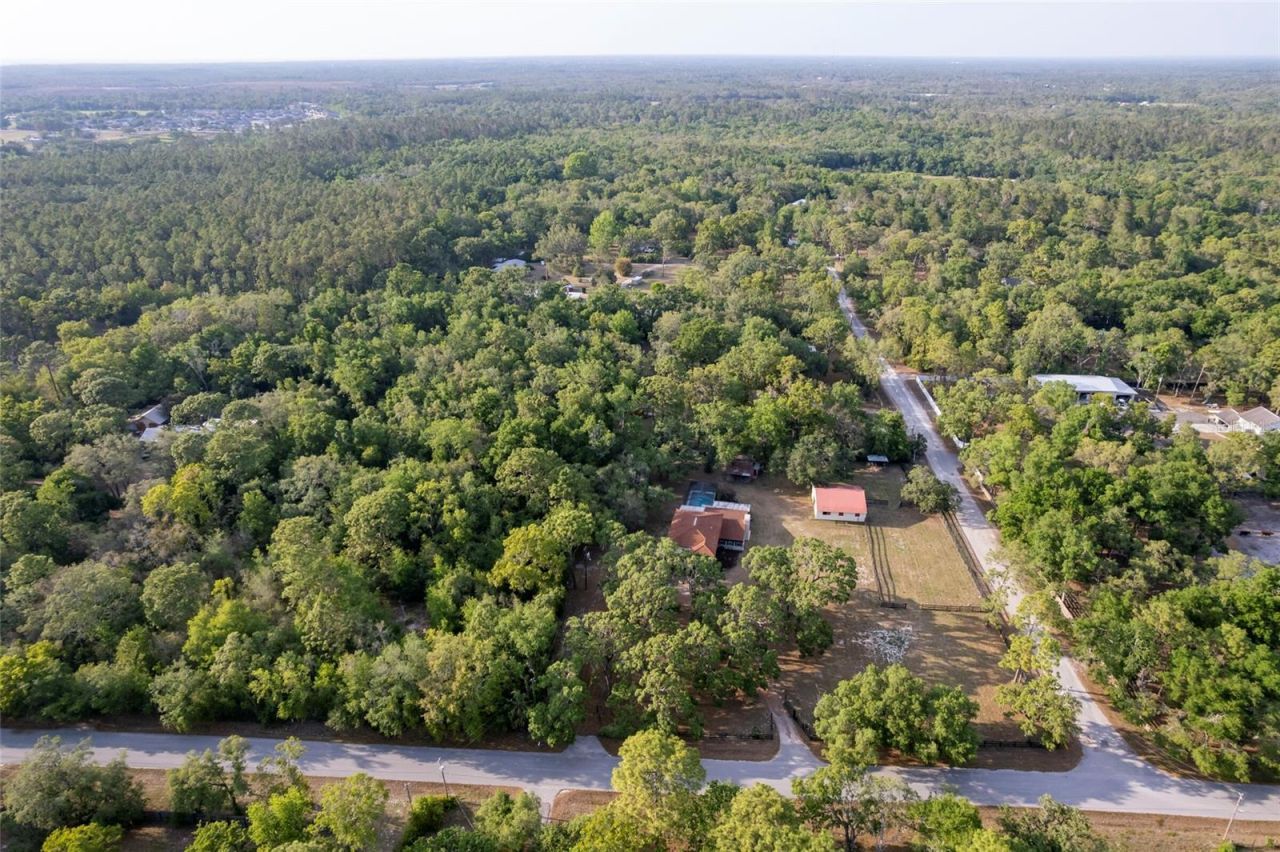 12311 Oakwood Drive, Hudson, FL 34669 Photo