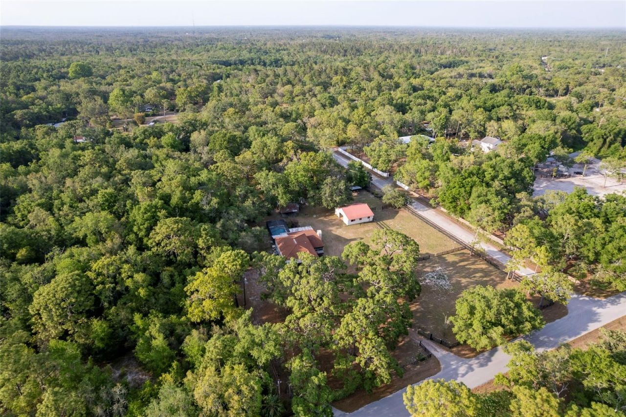 12311 Oakwood Drive, Hudson, FL 34669 Photo