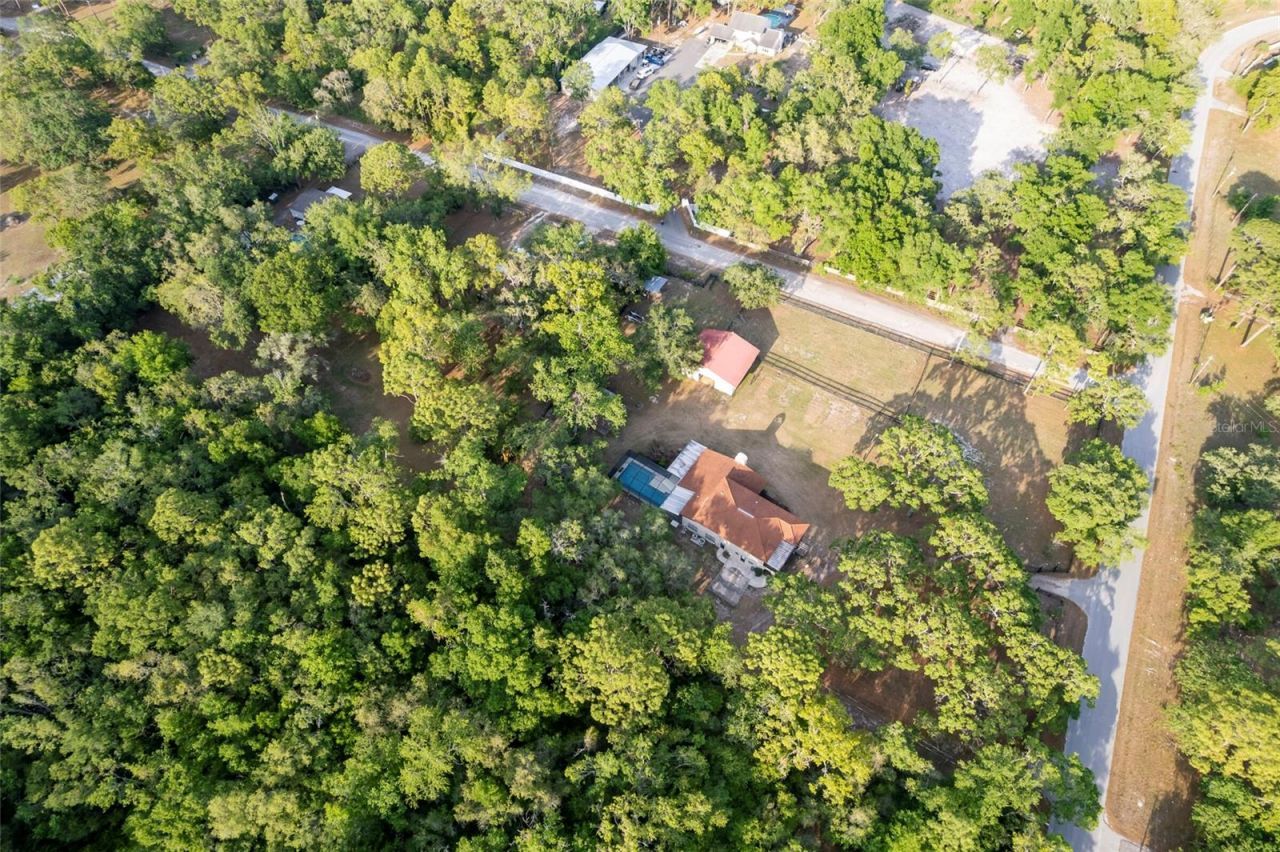 12311 Oakwood Drive, Hudson, FL 34669 Photo