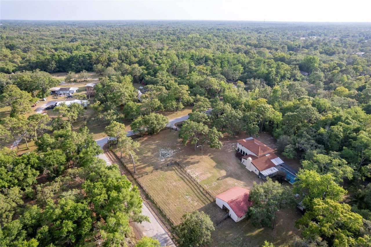 12311 Oakwood Drive, Hudson, FL 34669 Photo