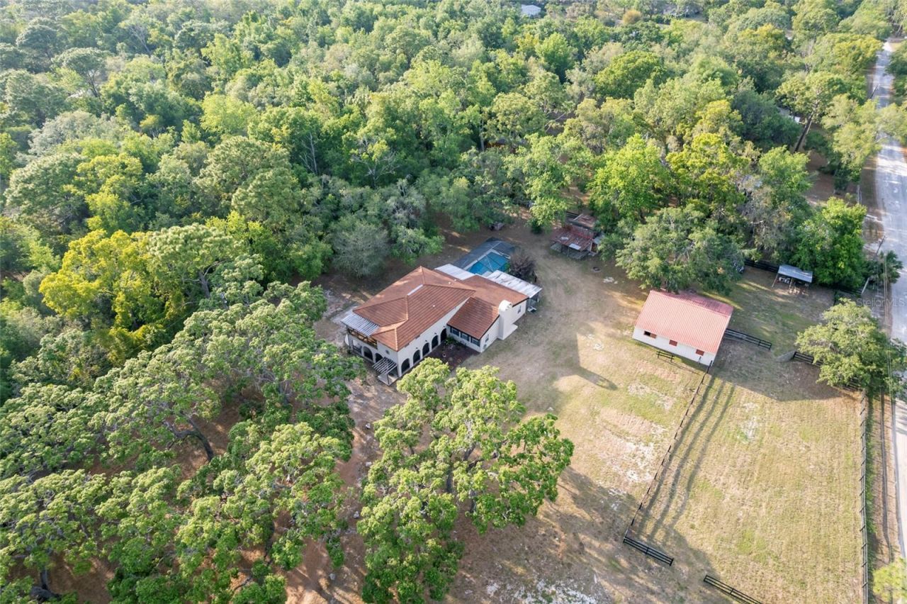 12311 Oakwood Drive, Hudson, FL 34669 Photo