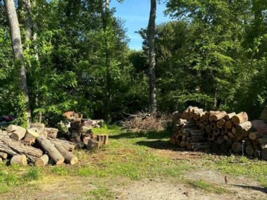 15 Sunday Drive, Charlestown, MD 21914 Main Photo